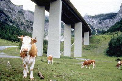 Foto: Gesellschaft für Ökologische Forschung