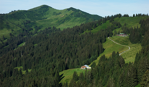 Riedberger Horn von Osten (Foto: Manfred Scheuermann)
