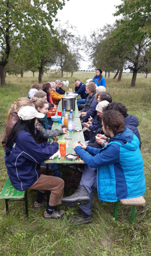 Die Hauptamtlichen der DAV Sektion Berlin beim Apfel-Ernteeinsatz 2025