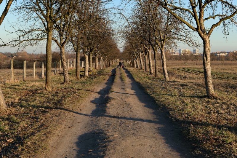 Wiesen vor Ahrensfelde Foto: U. Preugschat